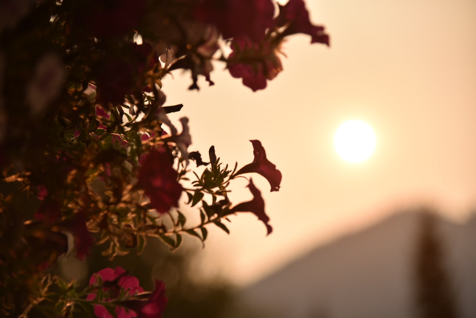 100 Songs I Felt the Vibe in 2021