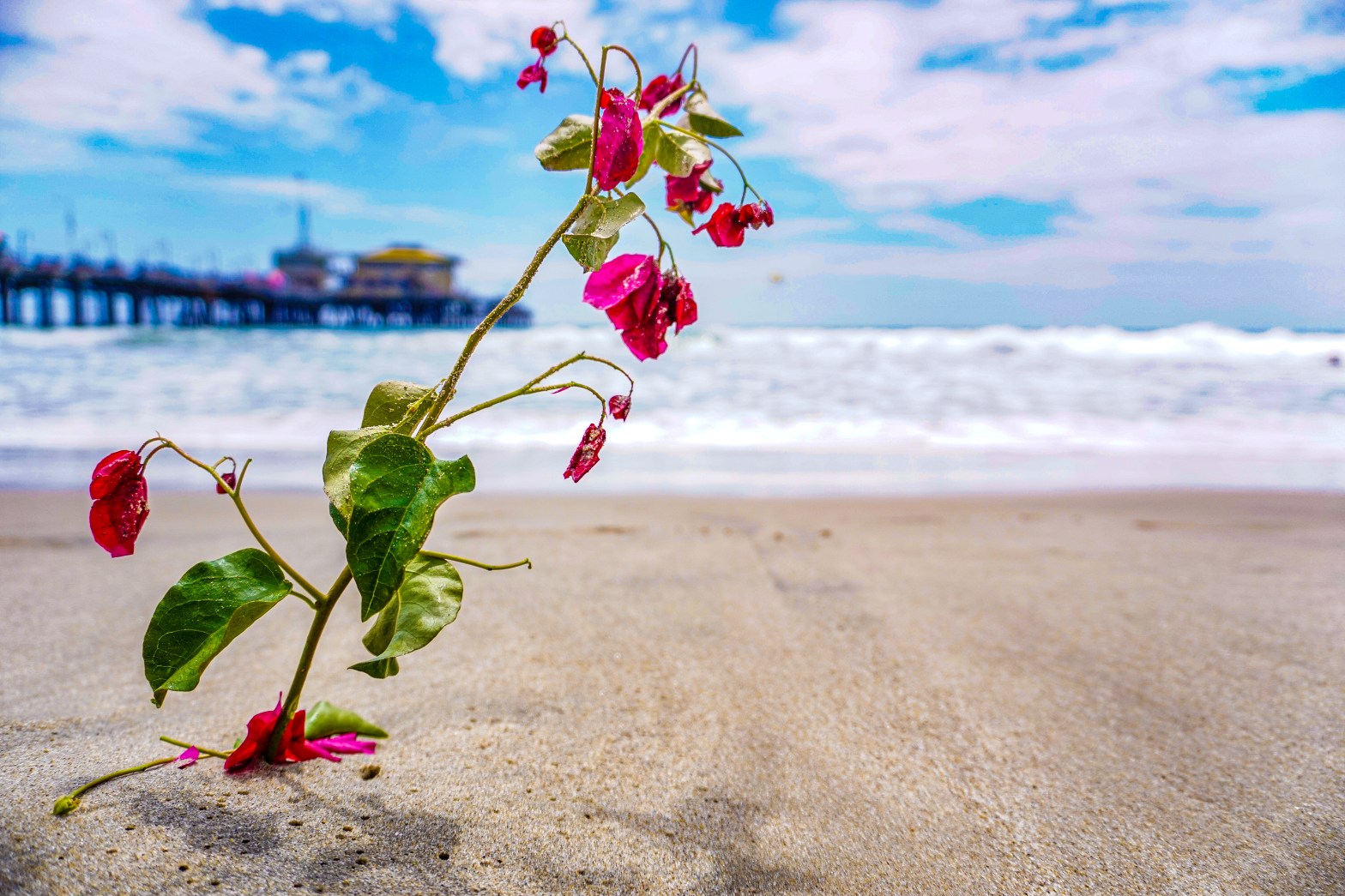 True Colors and Uncertainty: Being Humbled at Age 28