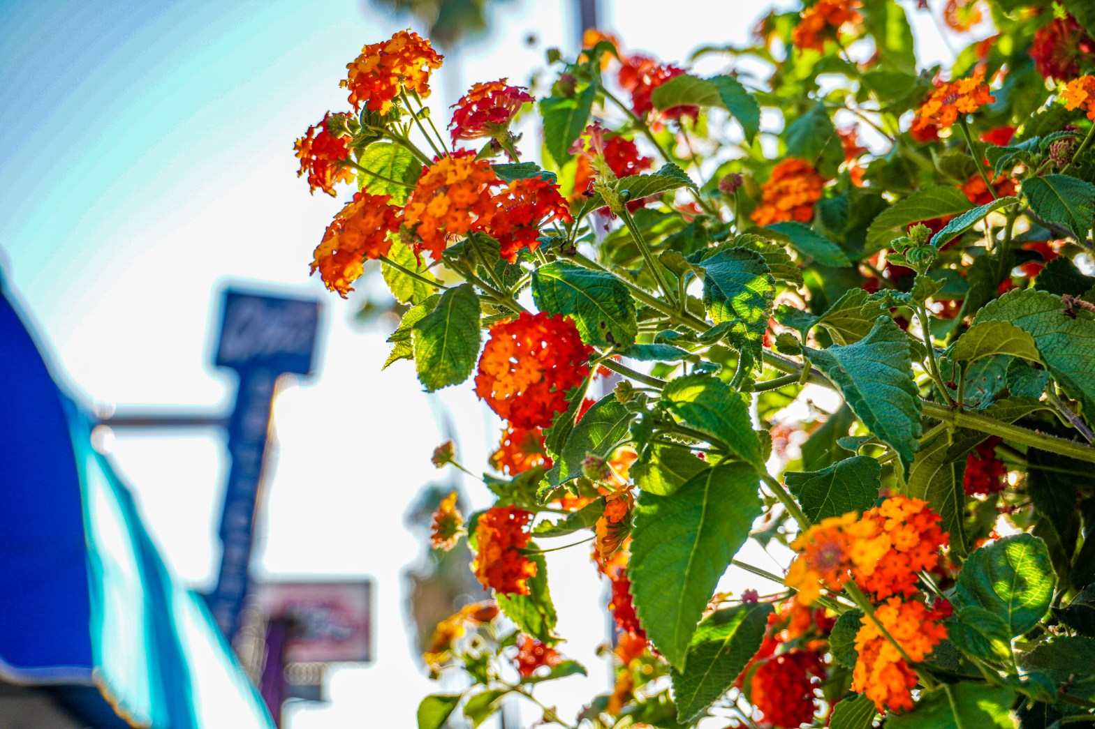 100* Songs I Felt the Vibe in 2023