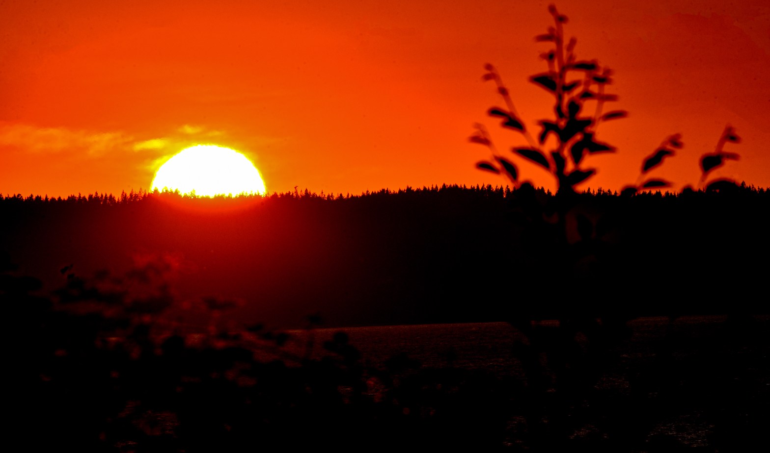 Escaping the Toxicity: An Ode To My 20s Era