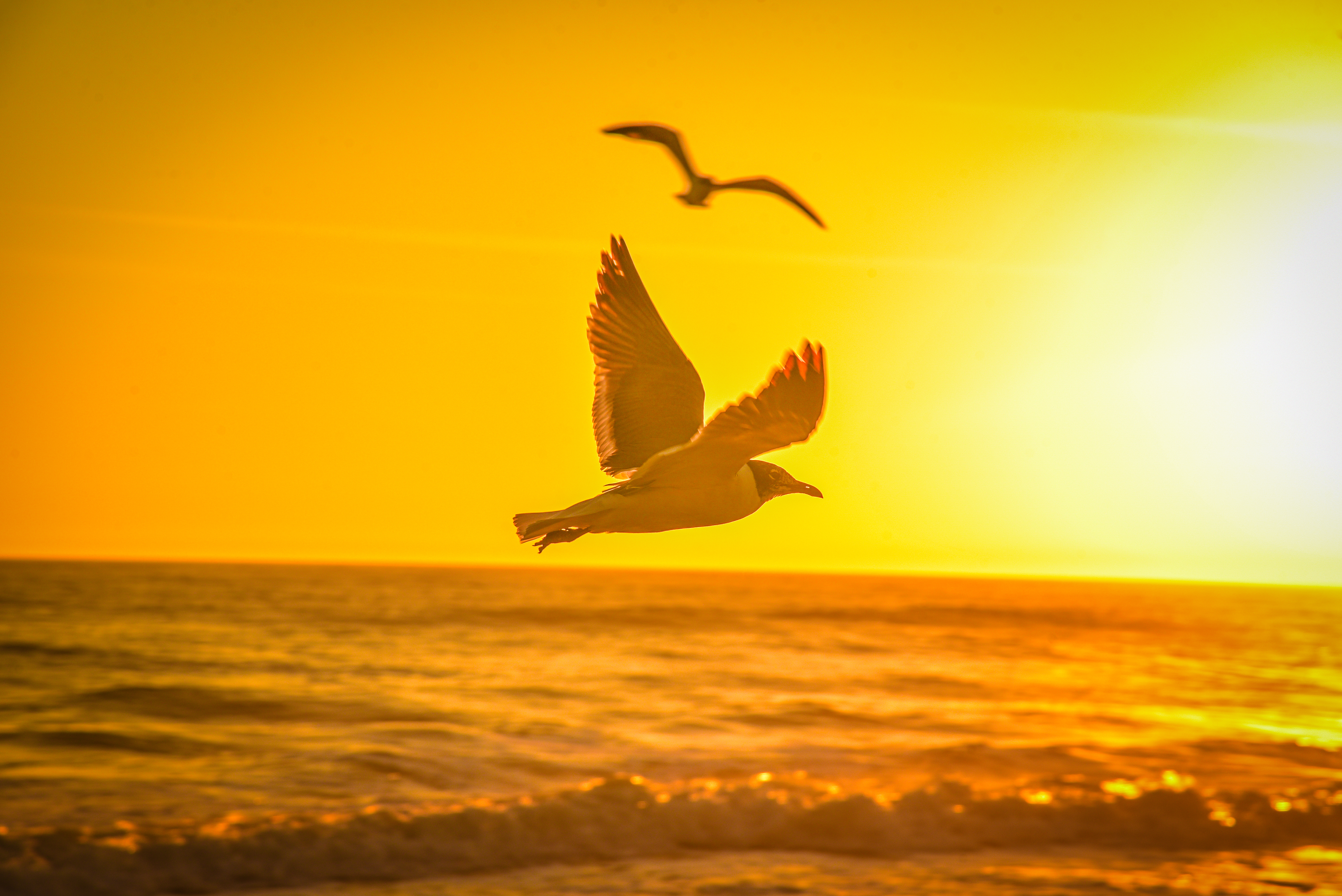 100 Songs I Felt the Vibe in 2025