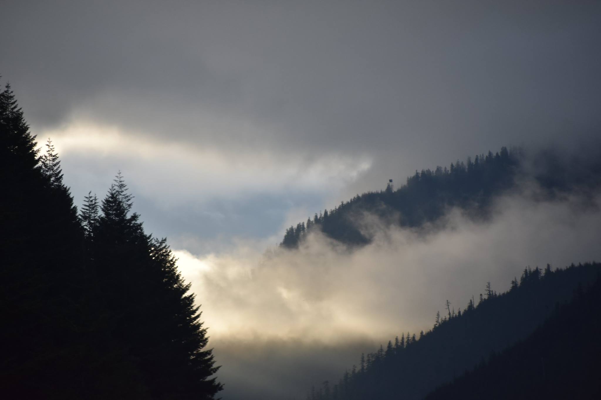 Throwback Thursday: 100 Songs I Felt the Vibe in 2017