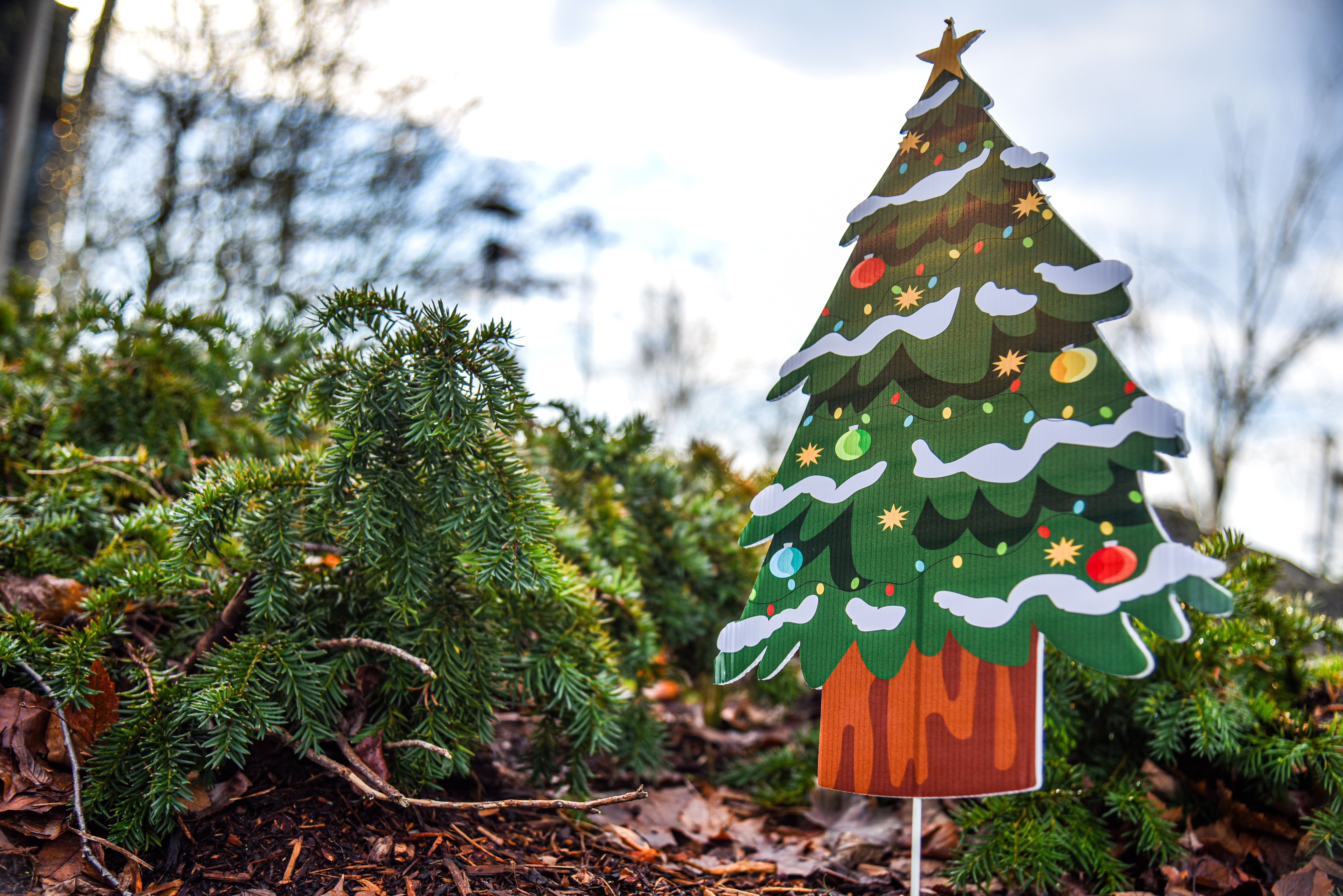 GALLERY: 2025 Jingle Bell Breakfast & Craft Fair